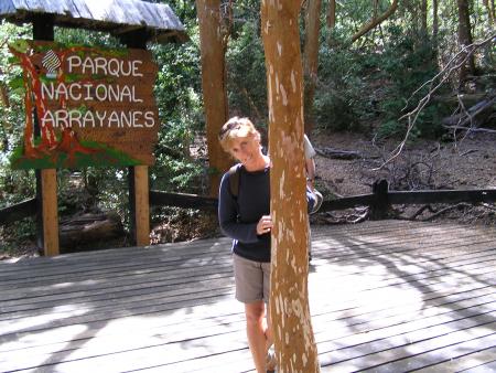 El BOSQUE DE ARRAYANES